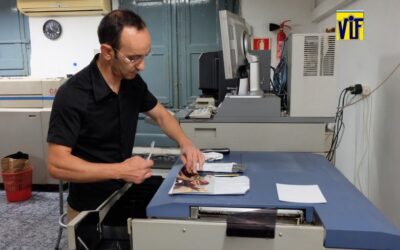 Color VIF laboratorio fotográfico profesional Barcelona, foto digital y analógica barato, fotos DNI, revelado ONLINE,Revelar fotos barato en Barcelona