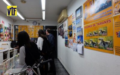 Color VIF laboratorio fotográfico profesional Barcelona, foto digital y analógica barato, fotos DNI, revelado ONLINE,Revelar fotos barato en Barcelona, hacemos foto-regalos, tazas