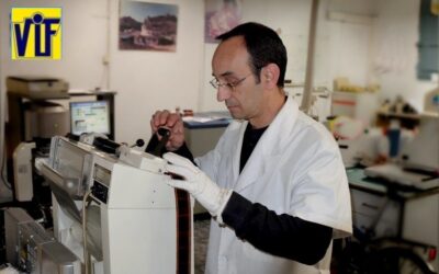 Color VIF laboratorio fotográfico profesional Barcelona, foto digital y analógica barato, fotos DNI, revelado ONLINE,Revelar fotos barato en Barcelona,ampliaciones