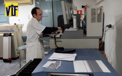 Color VIF laboratorio fotográfico profesional Barcelona, foto digital y analógica barato, fotos DNI, revelado negativos y escanear