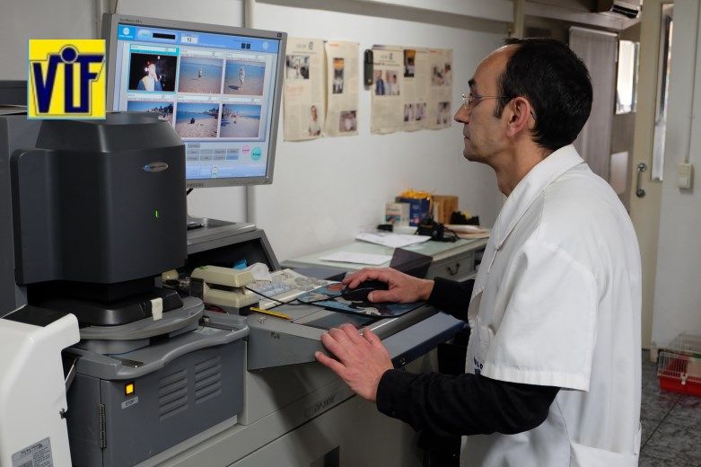 Color VIF laboratorio fotográfico profesional Barcelona, foto digital y analógica barato, fotos DNI, revelado negativos y escanear