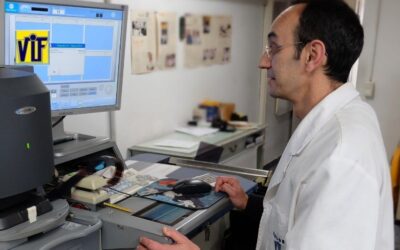 Color VIF laboratorio fotográfico profesional Barcelona, foto digital y analógica barato, fotos DNI, revelado negativos y escanear