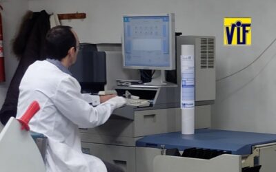 Revelar las fotos analógicas Barcelona Colorvif, laboratorio fotográfico