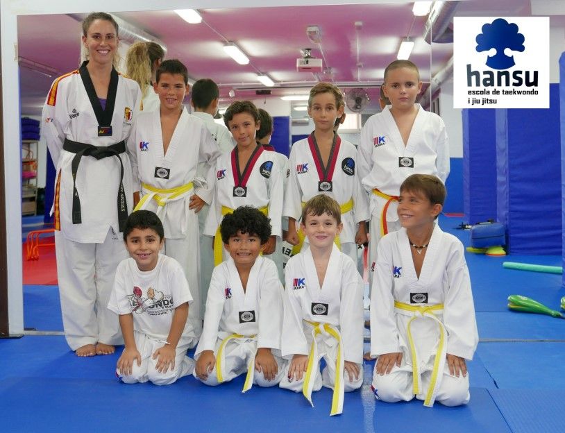 Artes Marciales Mollet del Valles gimnasio Hansu Taekwondo