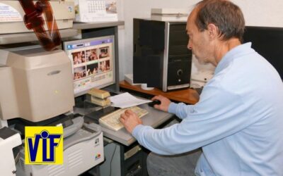 Fotos DNI Barcelona precio 6,95 lote Colorvif barato