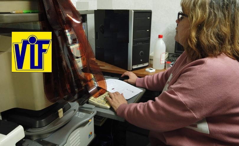 Colorvif: revela tus momentos más preciados una experiencia